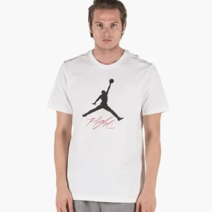 Футболка чоловіча Jordan Jumpman Flight Men's T-Shirt (AO0664-100)