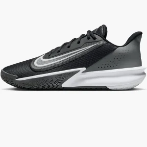 Кросівки чоловічі Nike Precision Vii (FN4322-005)