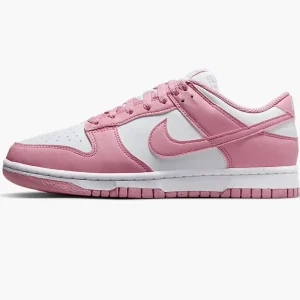 Кросівки жіночі Nike Dunk Low Next Nature (DD1873-112)