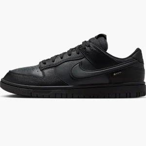 Кросівки чоловічі Nike Dunk Low Gore-Tex (HQ2053-001)