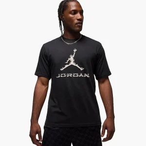 Футболки чоловіча Jordan Dri-Fit (HQ9091-010)