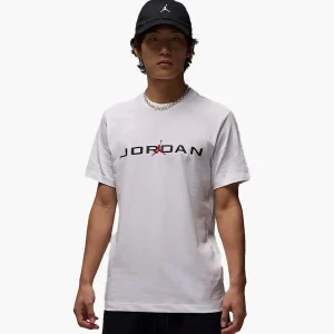 Футболки чоловіча Jordan Air Ss Crew (IB7353-101)
